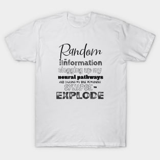 Random bits of Information T-Shirt